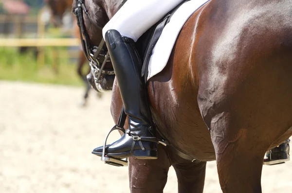 Cheval de dressage et cavalier — Photo