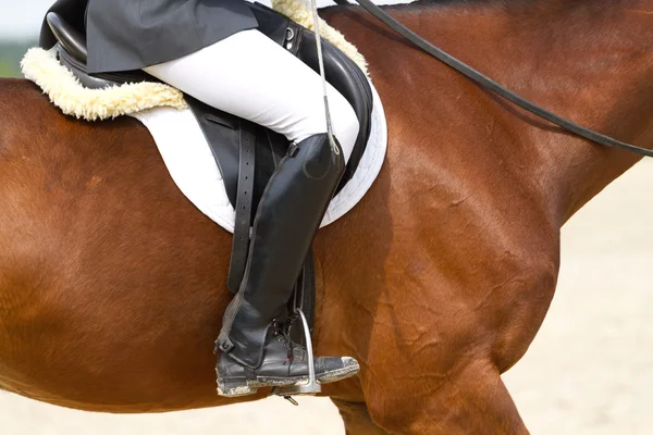 Ujeżdżenia konia — Zdjęcie stockowe