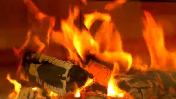Feuer brennt — Stockvideo