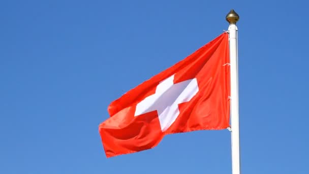 Флаг Швейцарии — стоковое видео