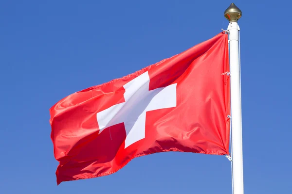Bir İsviçre bayrağı — Stok fotoğraf