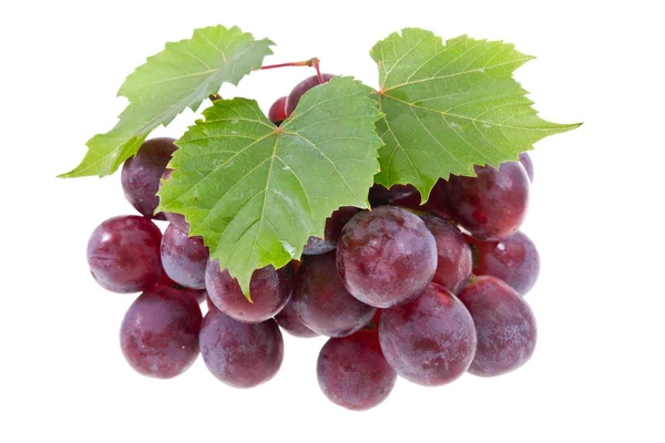 Виноград с листьями — стоковое фото