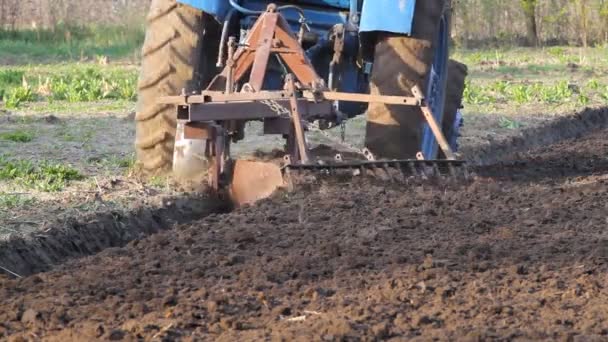 Traktor pracuje v terénu — Stock video