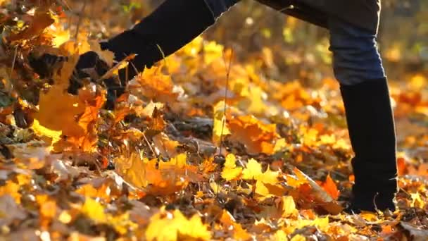 Beine Mädchen auf Herbstblättern — Stockvideo