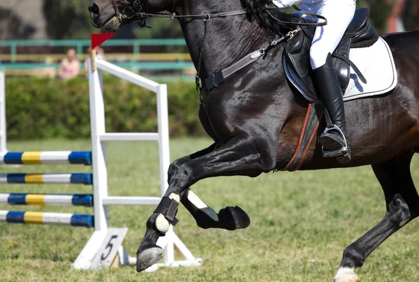 Salto de cavalo na competição — Fotografia de Stock