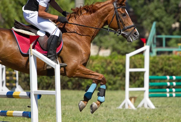 Cavalo salta um obstáculo — Fotografia de Stock