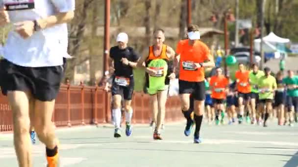 Kiev Halvmarathon i Kiev — Stockvideo