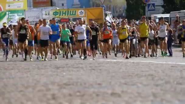 Kaštanové maraton v Kyjevě. — Stock video