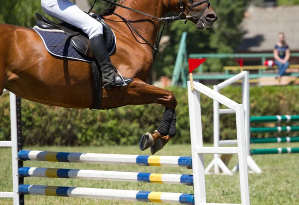 Saut à cheval un obstacle en compétition — Photo