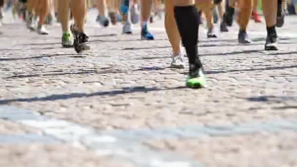 Maratona di corsa delle gambe  . — Video Stock