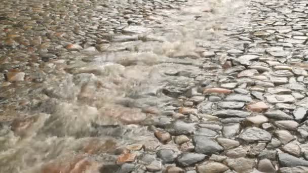 Regen auf der Kopfsteinpflasterstraße. — Stockvideo