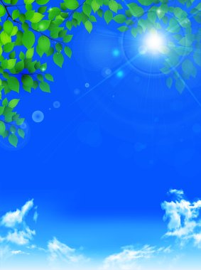 Taze yeşil yaprak ağacı arka planı