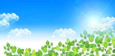 Taze yeşil yaprak ağacı arka planı