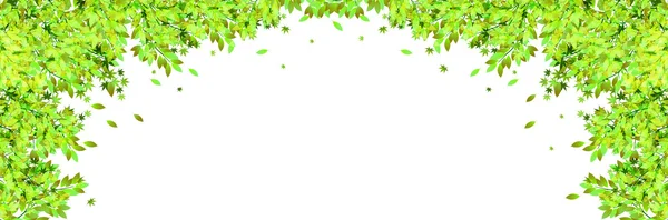 Fresh green leaf tree background — Stock Vector