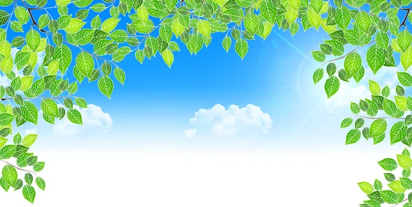 Frische grüne Blatt Baum Hintergrund — Stockvektor