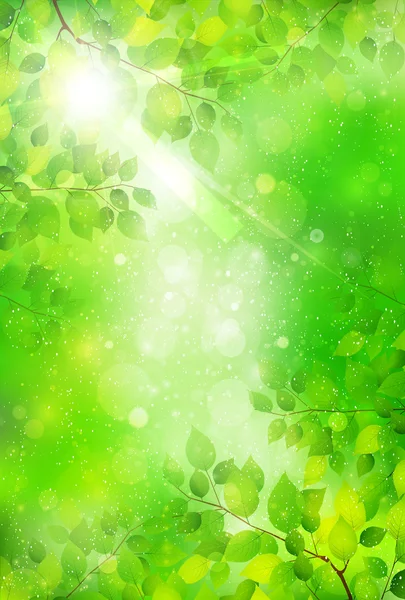 Liść drzewa świeże zielone tło — Wektor stockowy