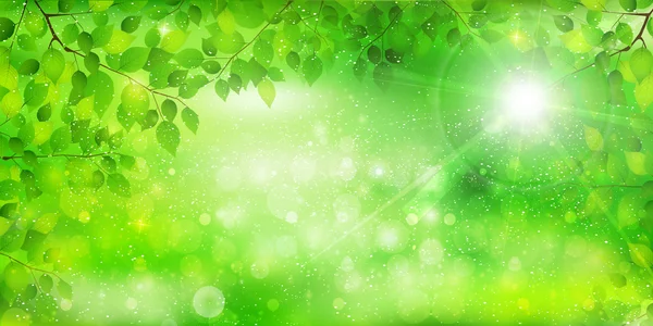 Leaf tree fresh green background — Stock Vector