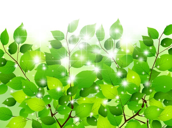 葉木の新鮮な緑の背景 — ストックベクタ