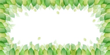 Yaprak ağaç taze yeşil arka plan