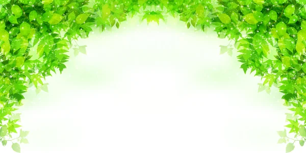 Дерево листьев свежий зеленый фон — стоковый вектор