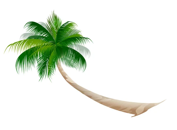 Palmen Sommer tropische Ikone — Stockvektor