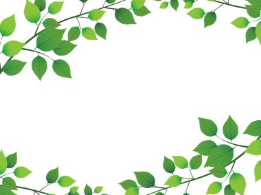 Yaprak ağaç taze yeşil arka plan