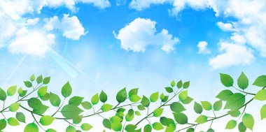 Yaprak ağaç taze yeşil arka plan