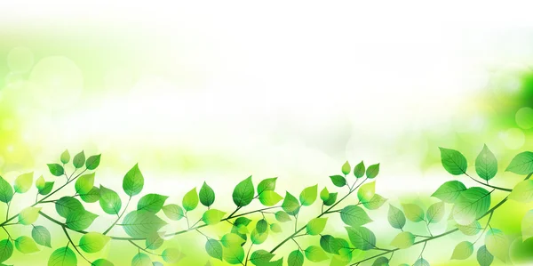 Liść drzewa świeże zielone tło — Wektor stockowy