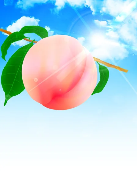 Peach fruit sky background — Stock Vector