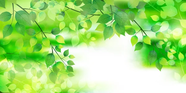 Yaprak ağaç taze yeşil arka plan — Stok Vektör