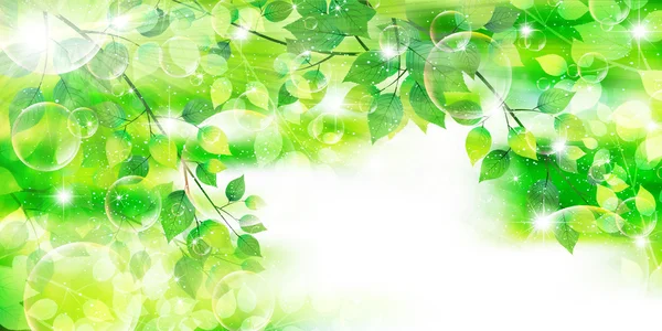 Hoja de árbol fresco fondo verde — Vector de stock