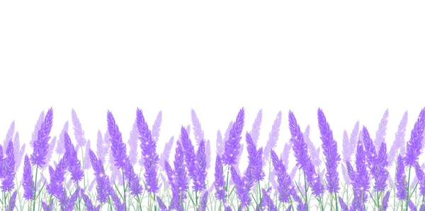 Lavender flower landscape background — Stock Vector