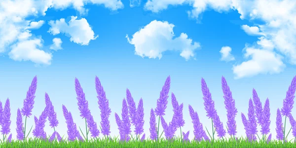 Lavendel flower landskap bakgrund — Stock vektor