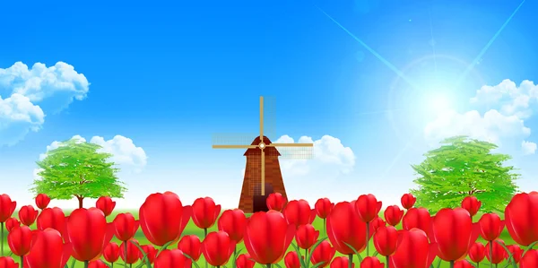 Tulipán virág táj háttér — Stock Vector