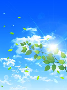 Yaprak ağaç taze yeşil arka plan