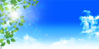 Yaprak ağaç taze yeşil arka plan