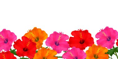 Hibiscus deniz manzara arka plan