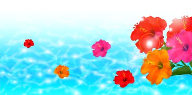 Hibiscus deniz manzara arka plan