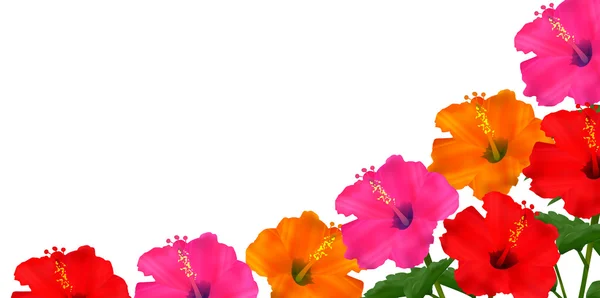 Hibiscus mer paysage fond — Image vectorielle