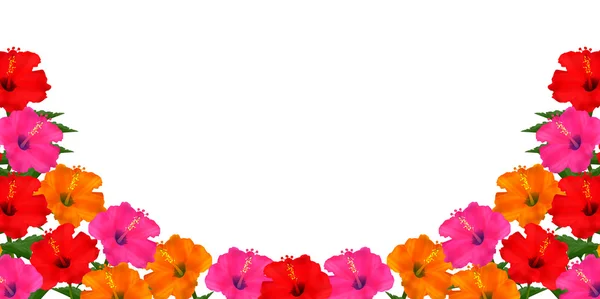 Hibiskus Meereslandschaft Hintergrund — Stockvektor