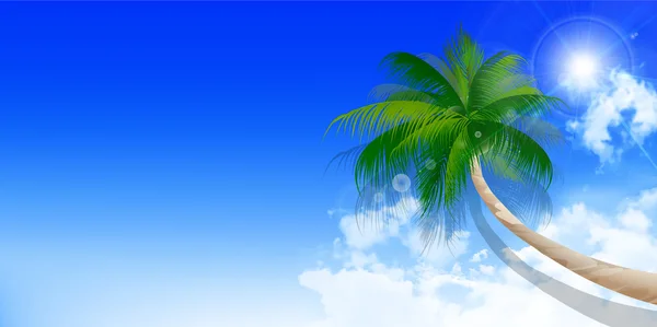 Paysage palmier d'été fond — Image vectorielle
