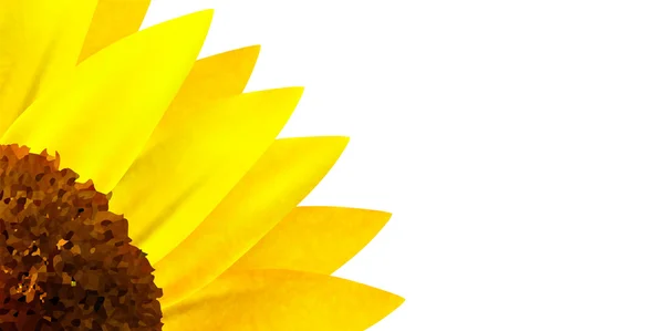 Sonnenblume Sommer Landschaft Hintergrund — Stockvektor
