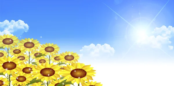 Girasol verano paisaje fondo — Vector de stock