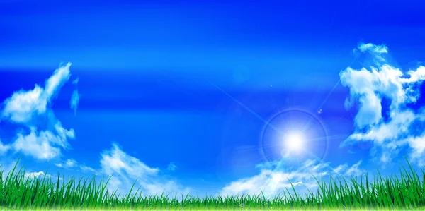 Sky summer landscape background