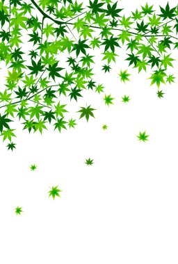 Akçaağaç yaz manzara arka plan