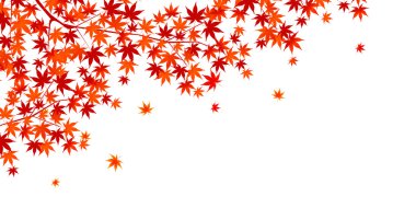 Sonbahar, sonbahar manzarası arka planından ayrılıyor