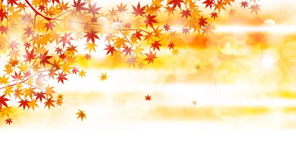 Otoño hojas otoño paisaje fondo — Vector de stock