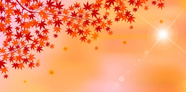 Autumn leaves autumn landscape background — Stock Vector