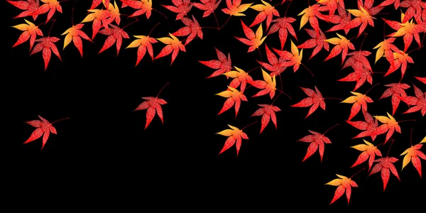 Fall autumn leaves landscape background