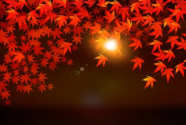 Otoño hojas otoño paisaje fondo — Vector de stock